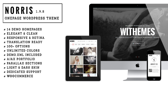 Norris - Elegant Onepage WordPress Theme