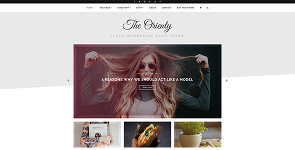 TheOrienty - A Skew Header Blog Theme