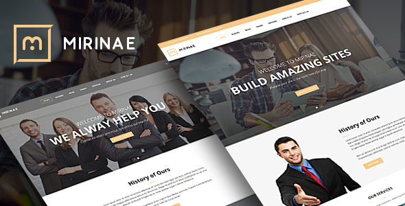 VG Mirinae - WordPress Insurance Agency Theme