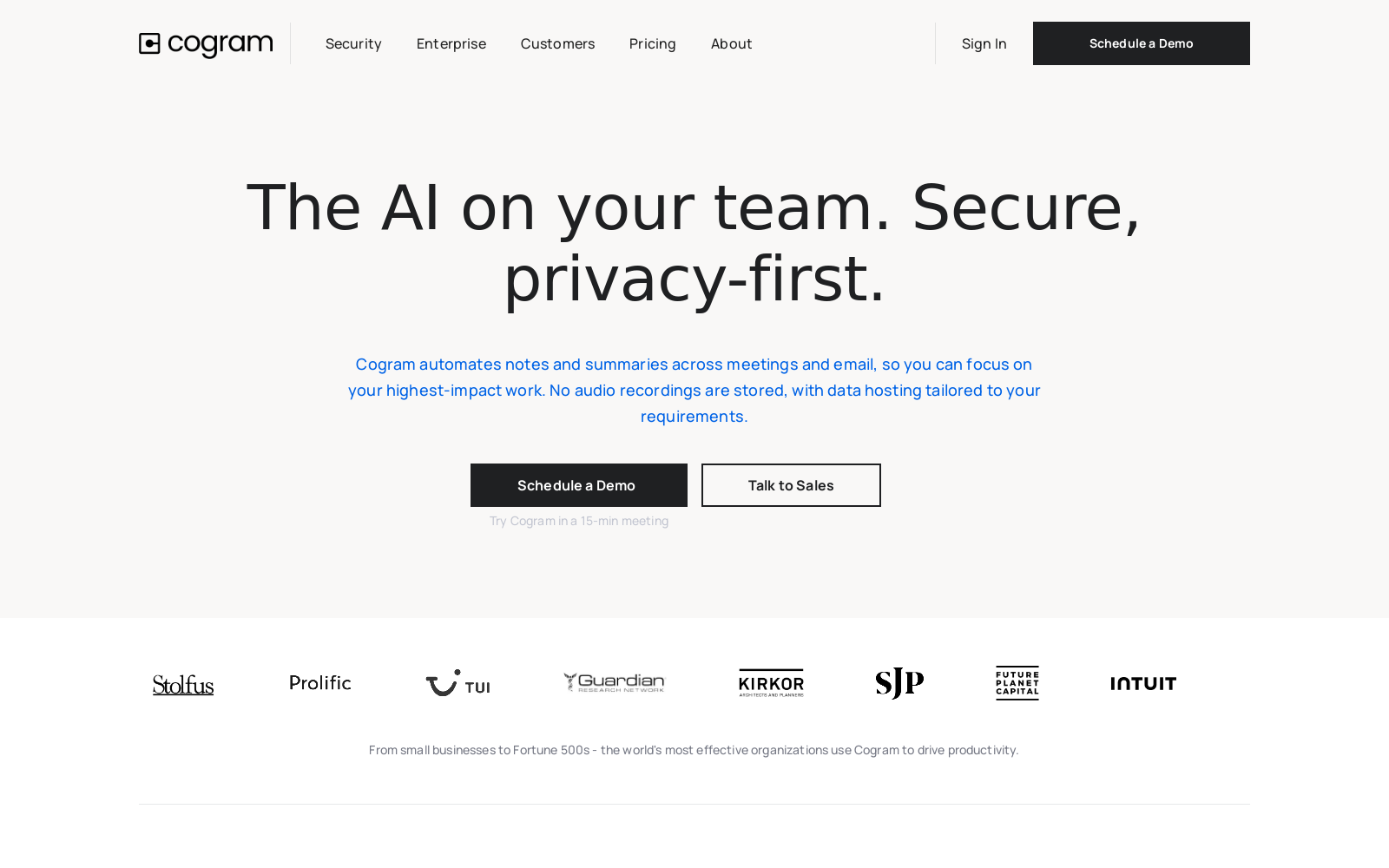 The AI on your team. Secure, privacy-first.