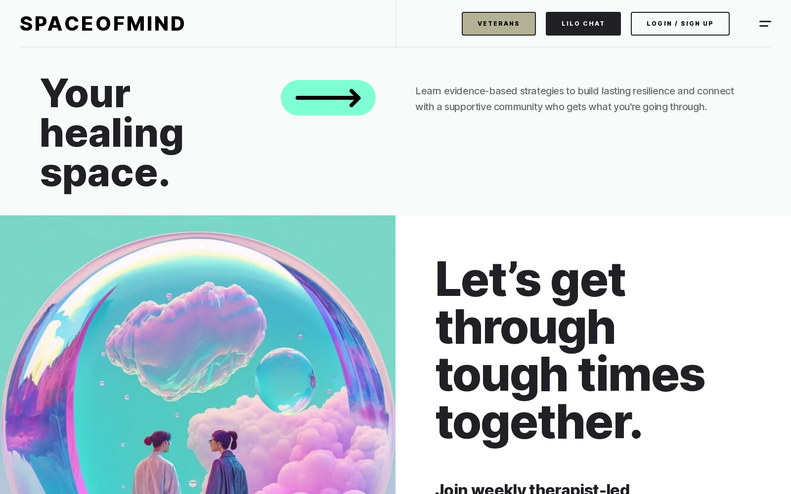 Space of Mind